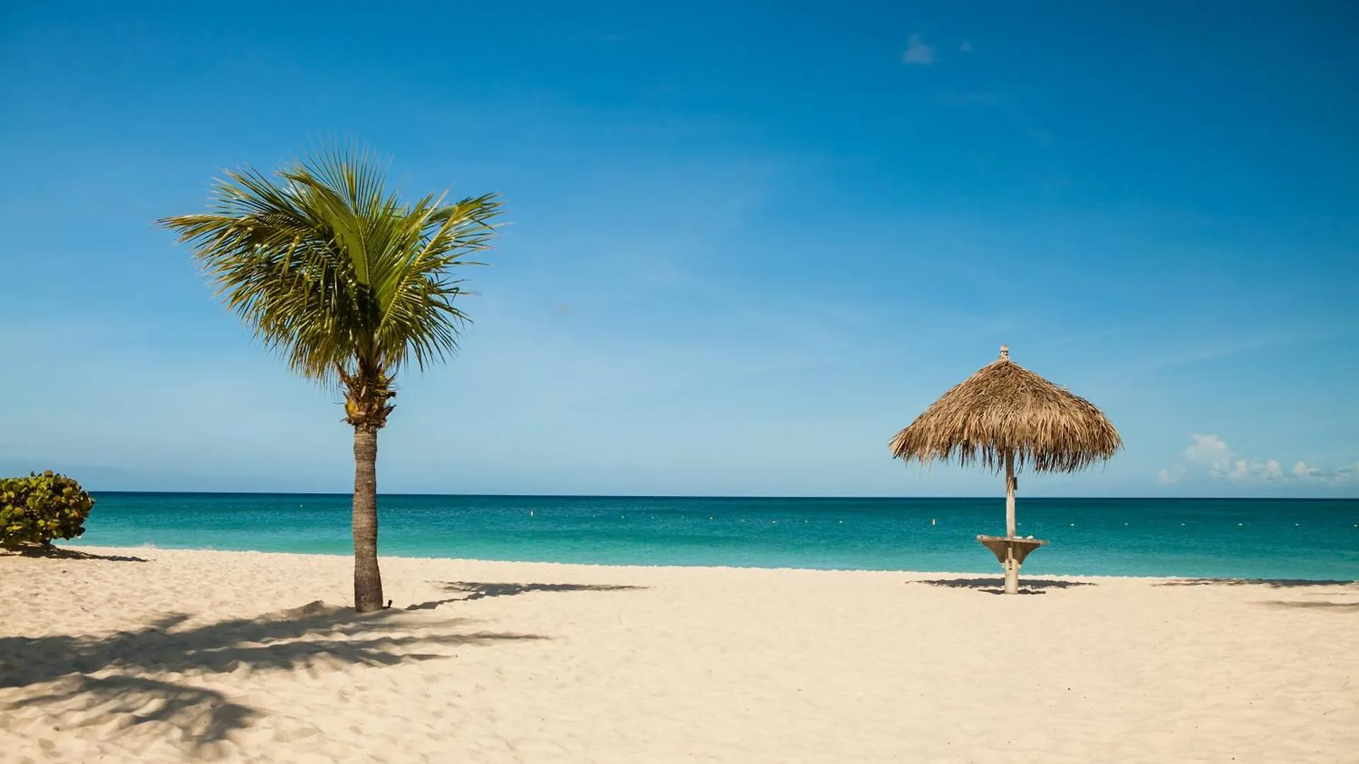 1Bs-Blue224 - Breath-Taking Ocean View Condo For 4, Palm Beach 0*,  Aruba